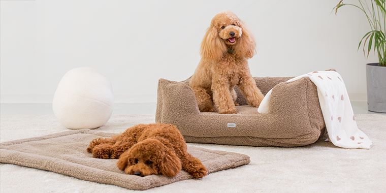 10 % popusta na kolekcijo Qushin PETS