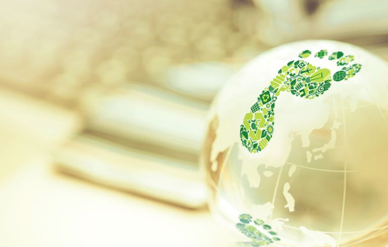 CALCULATE YOUR ECOLOGICAL FOOTPRINT