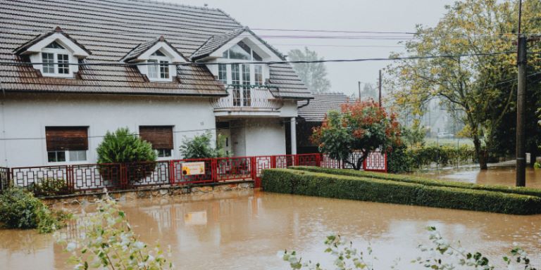Finančne družbe in okoljske spremembe