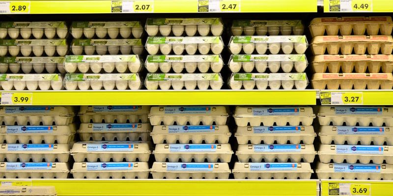 microsoft, google, meta in amazon gredo na vse ali nič