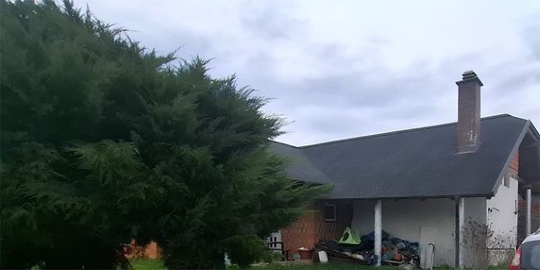 Stanovanjska hiša in gospodarski objekt, Prepolje 97, Marjeta na Dravskem polju