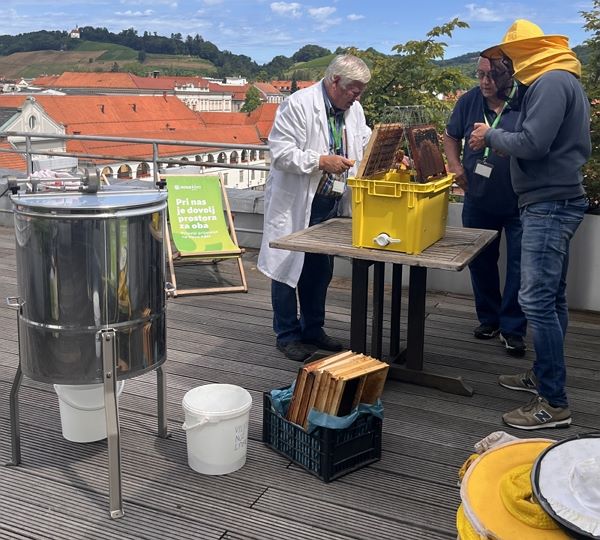 The bees in our Urban Beehive produced their first honey